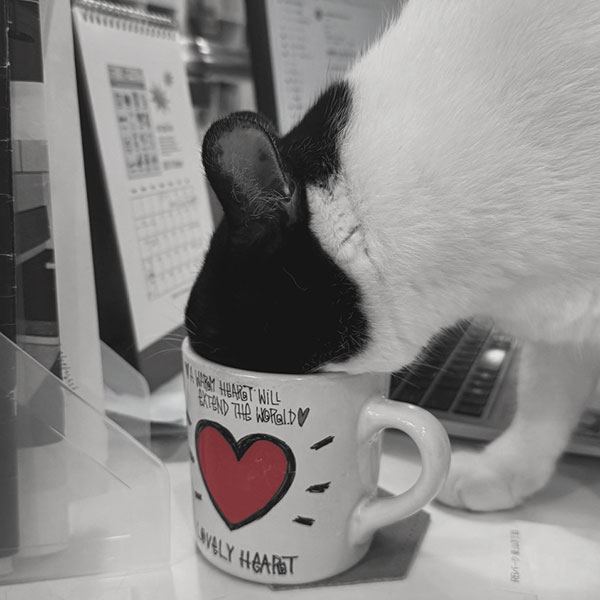 Top Instagram Image 05